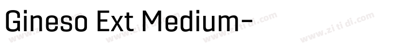 Gineso Ext Medium字体转换